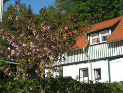 Ferienhaus Hagenquelle